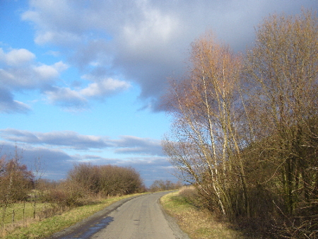 P1110447.jpg